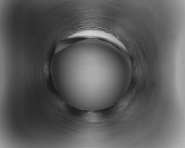 X0000088210562200705292055