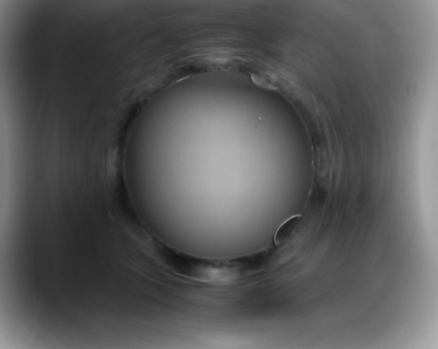 X0000088210563200705292055