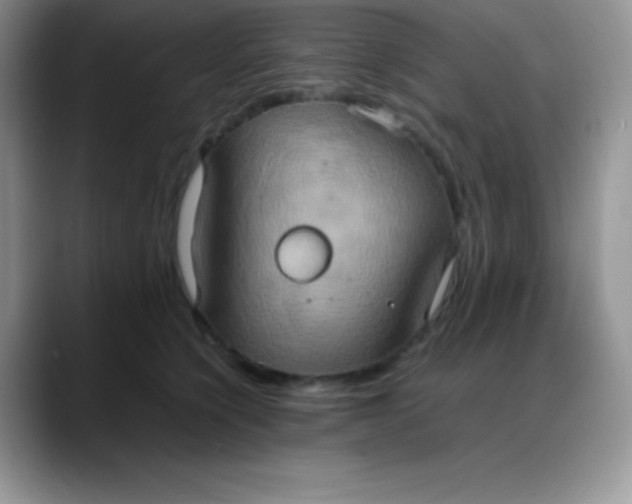 X0000088210564200705292055