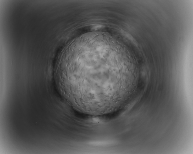 X0000088210565200705292055