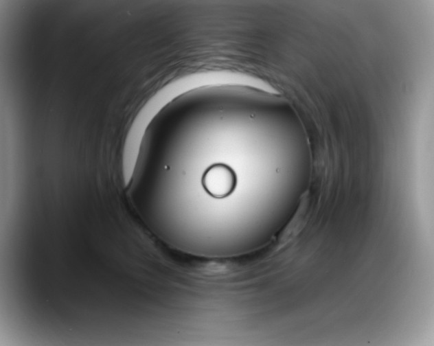 X0000088210566200705292055