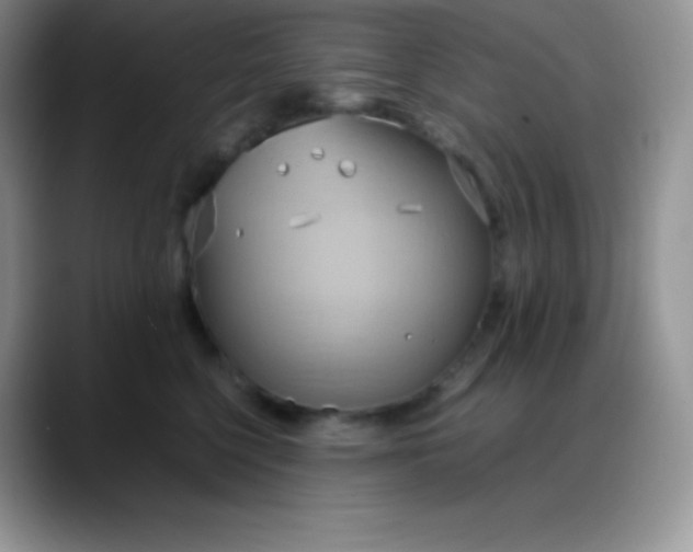 X0000088210568200705292055
