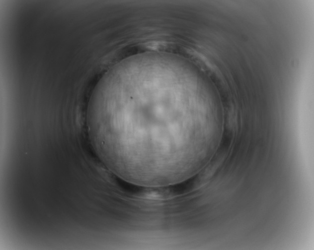 X0000088210569200705292055