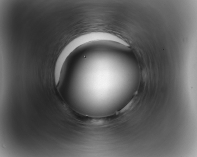 X0000088210570200705292055