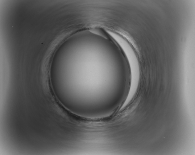 X0000088210577200705292054
