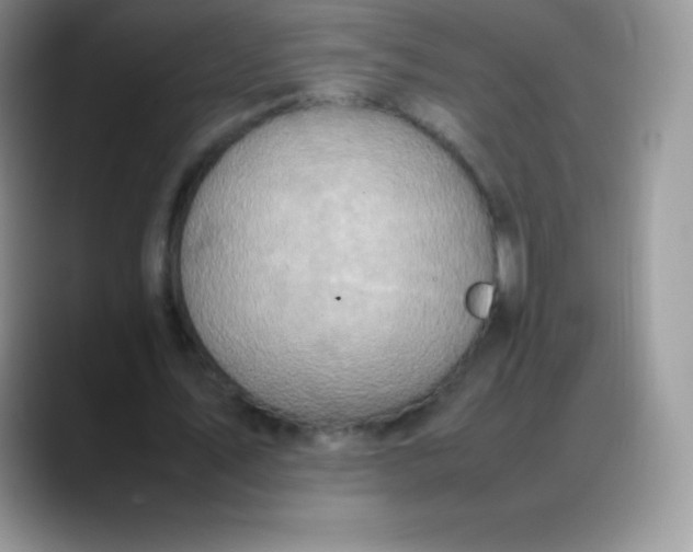 X0000088210579200705292054