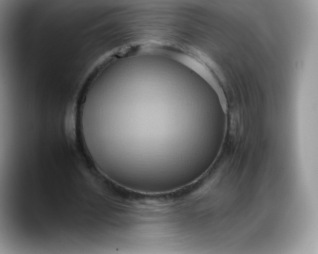 X0000088210580200705292054