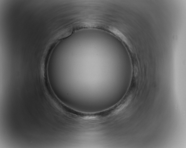 X0000088210581200705292054