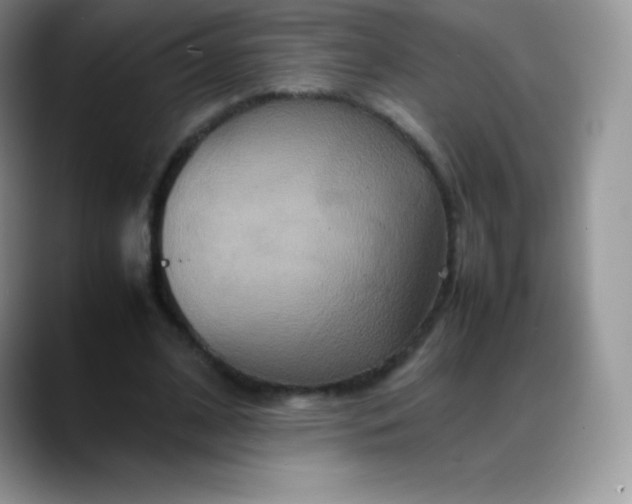 X0000088210584200705292054