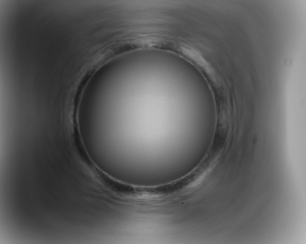 X0000088210585200705292054