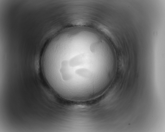 X0000088210586200705292054