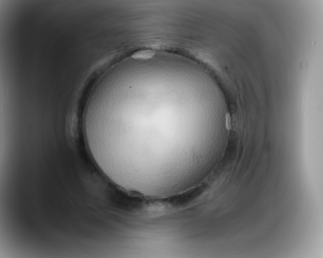 X0000088210587200705292054