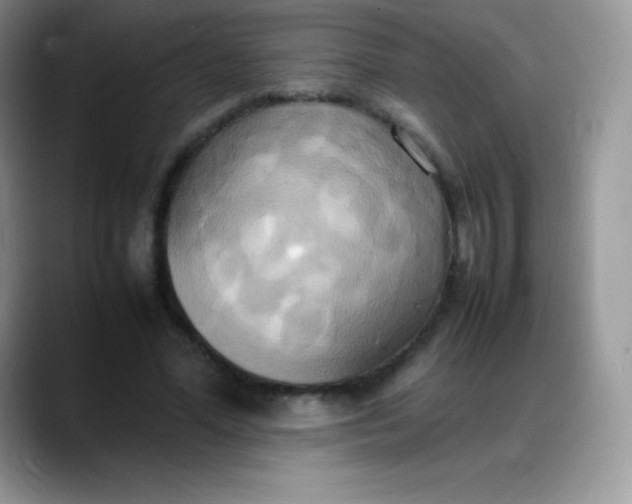 X0000088210588200705292054