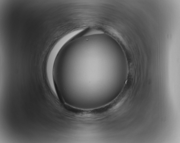 X0000088210589200705292054