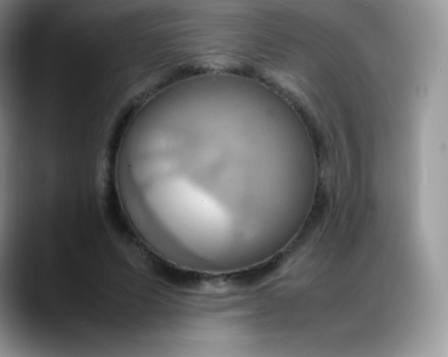 X0000088210591200705292054