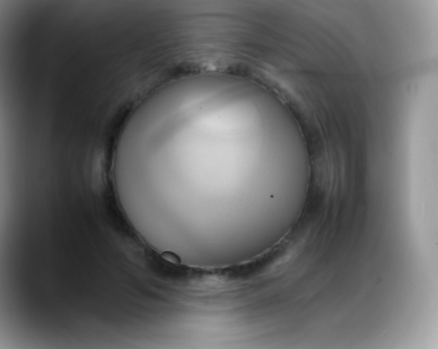 X0000088210594200705292054