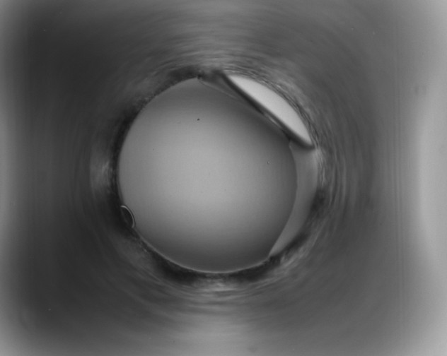 X0000088210597200705292054