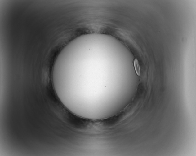 X0000088210599200705292054