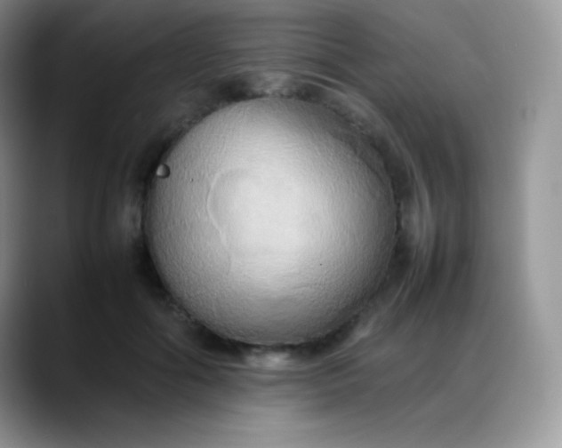 X0000088210602200705292054