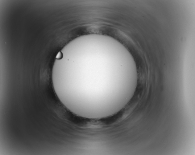 X0000088210603200705292054