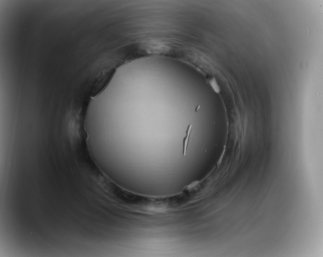 X0000088210604200705292054