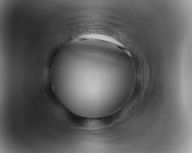 X0000088210605200705292054