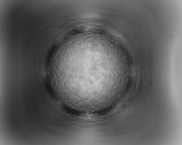 X0000088210607200705292054