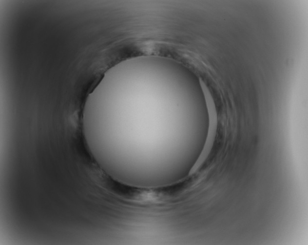 X0000088210611200705292054