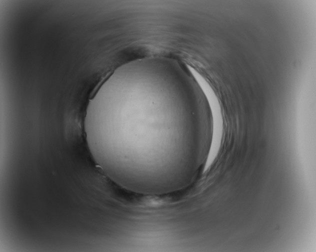X0000088210613200705292054