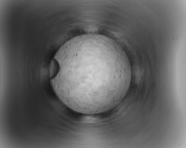 X0000088210614200705292054
