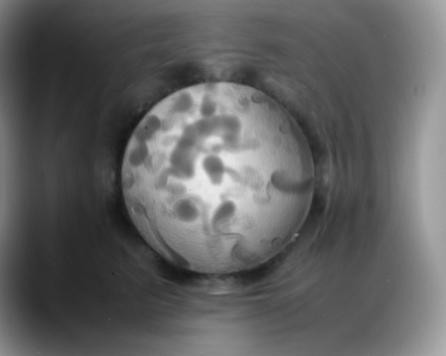 X0000088210615200705292054