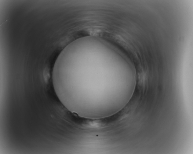 X0000088210618200705292054