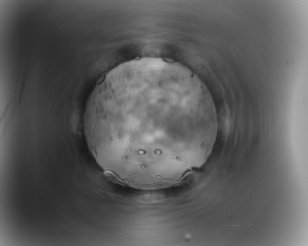 X0000088210619200705292054