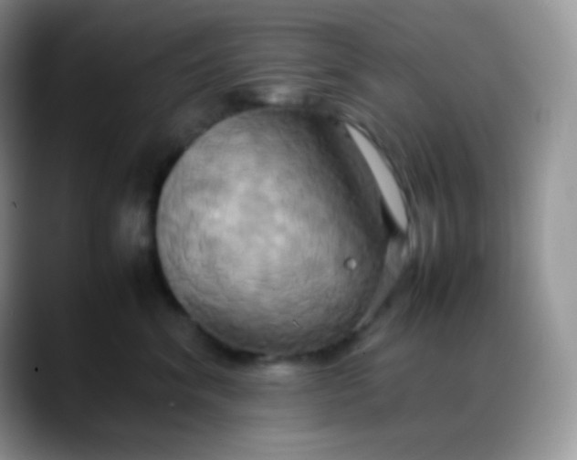 X0000088210620200705292054