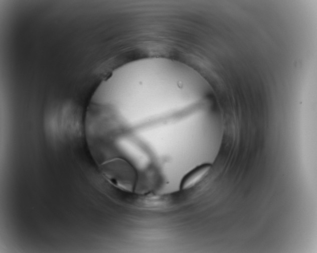 X0000088210622200705292054