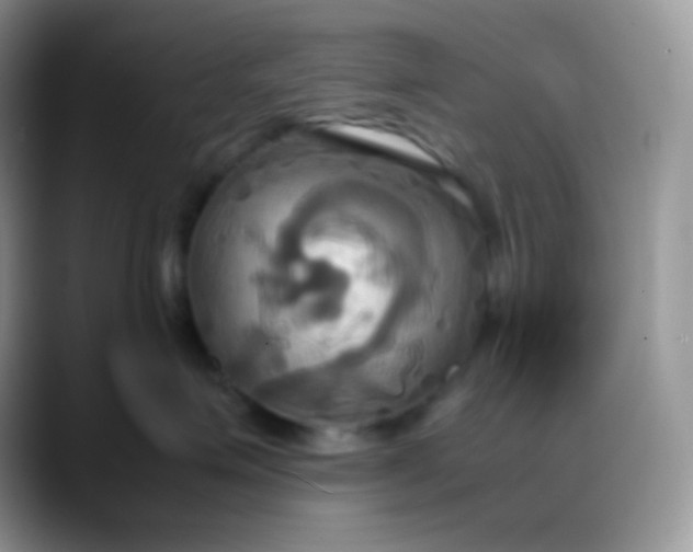 X0000088210623200705292054