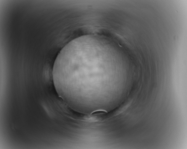 X0000088210624200705292054