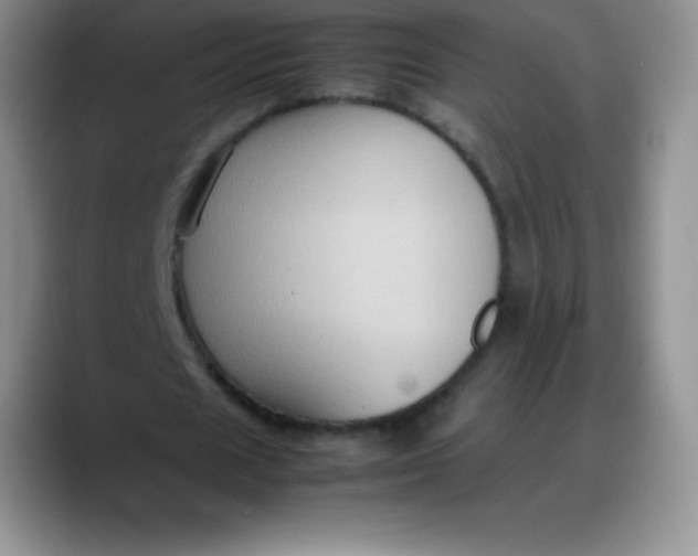 X0000088210625200705292053