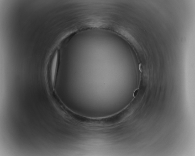 X0000088210626200705292053