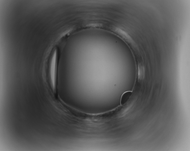 X0000088210627200705292053