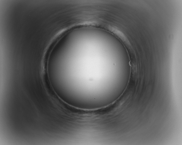X0000088210628200705292053