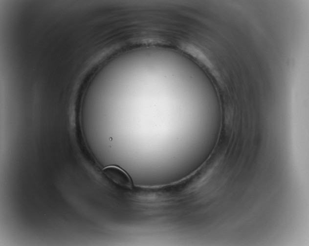 X0000088210629200705292053