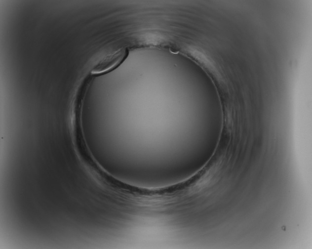 X0000088210630200705292053