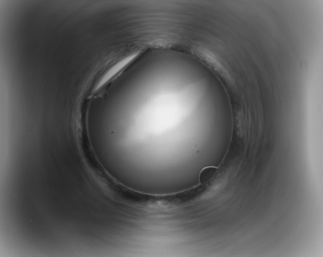 X0000088210634200705292053