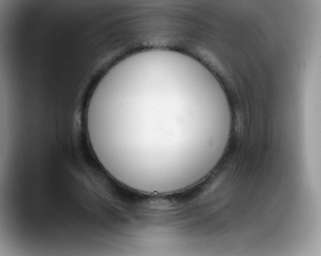X0000088210636200705292053