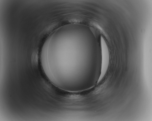 X0000088210637200705292053