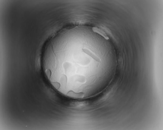 X0000088210638200705292053