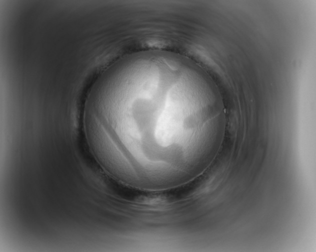 X0000088210639200705292053