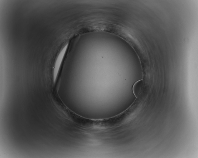 X0000088210641200705292053