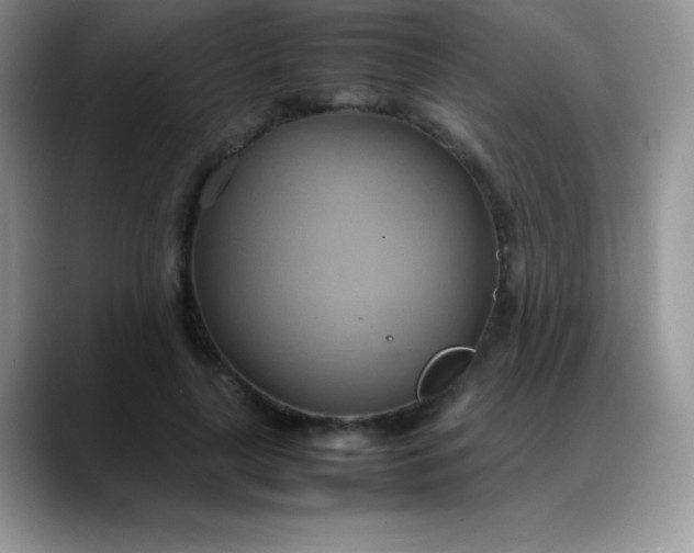 X0000088210643200705292053